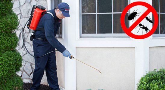 Aralık Dezenfeksiyon böcek ilaçlama ve haşere kontrolü — ilaclama-tr.com